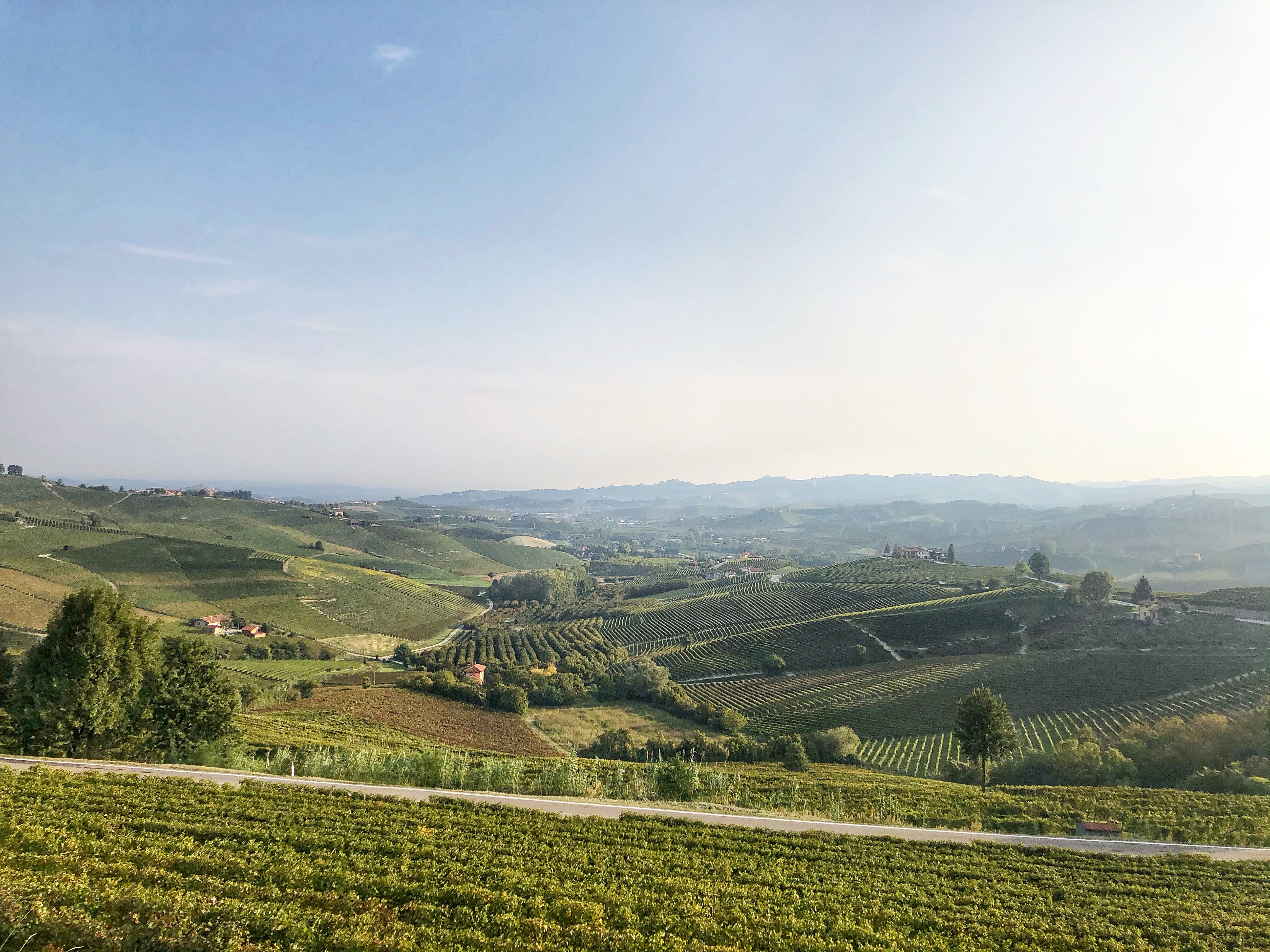 Buon compleanno Sbarricati!